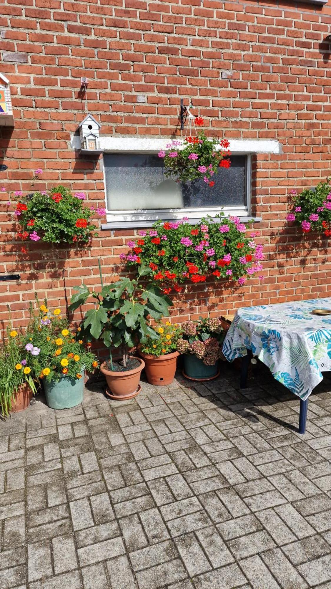 Mignon Apartment Soumagne Bagian luar foto